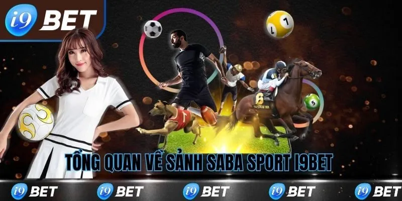 Tổng quan về sảnh chơi Saba Sport i9bet